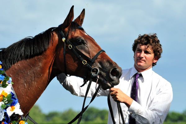 Group One winner in foal to The Autumn Sun to be offered on Gavelhouse Plus