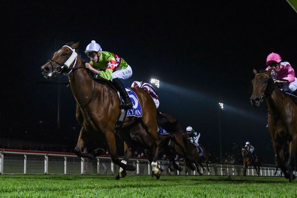 Consistent Sansom to chase Caulfield win