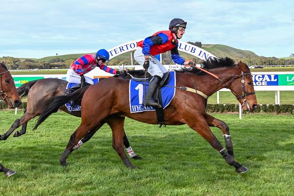 Kiwi chaser on target for Australian Grand National