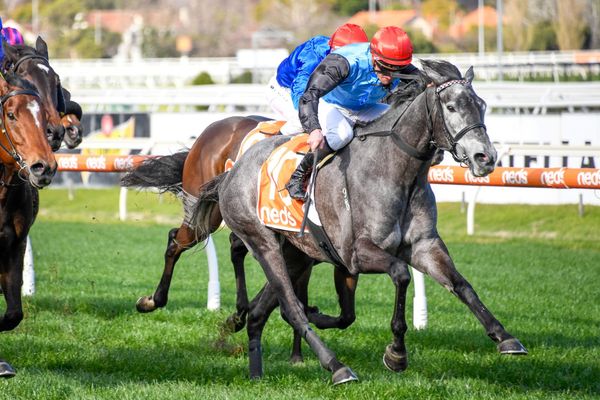 Metro win for She’s A Thief