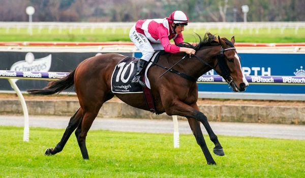 Showmanship set for Caulfield start