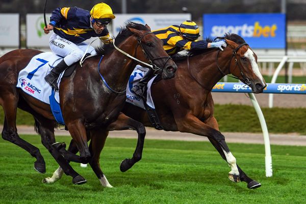 Sky’s the limit for promising filly