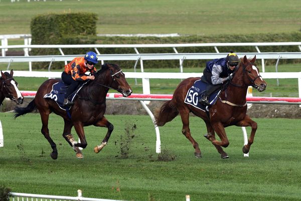 Brennan beaming to be back