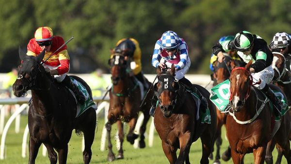 Stockman rounds up rivals at Warwick Farm