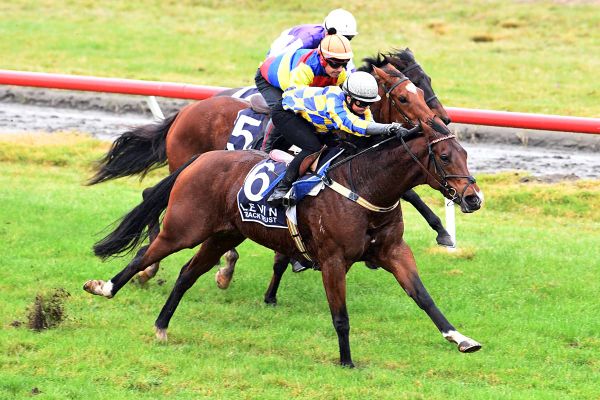 Taiaroa continuing family legacy