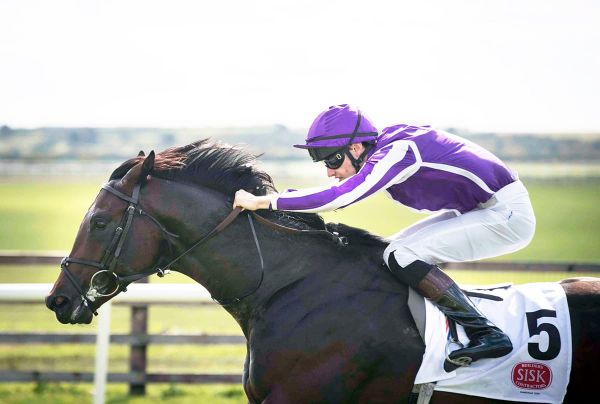 Star sprinters join burgeoning Valachi Downs roster