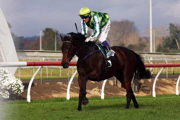 Cole restarts season where he left off