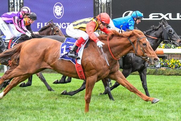 Zacinto’s Vassilator salutes at Flemington again