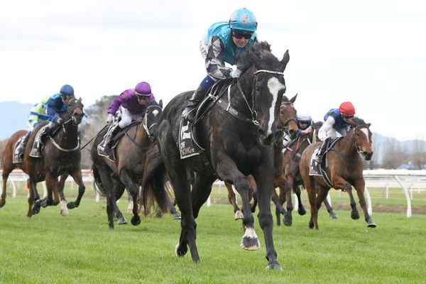 Exciting future tipped for promising filly