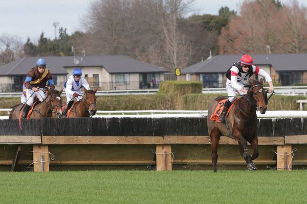 Switched on Ali Baba shapes as exciting jumper