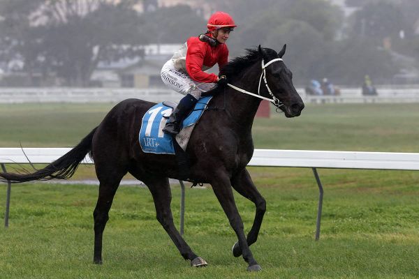 International investors celebrating Bourbon triumph