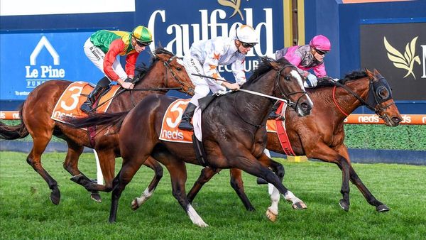 Turning track to suit Tavisan in Monash