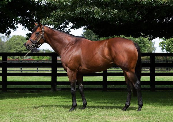 Charm Spirit goes back-to-back