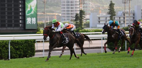 Kiwi-bred scores in Macau