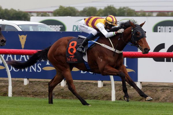 Quality filly heads Rogerson arsenal