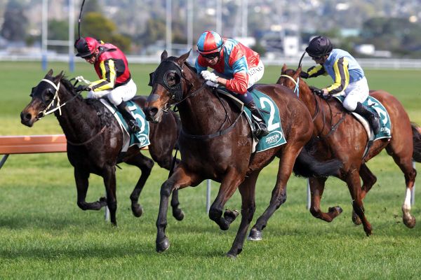Tiley continues red-hot run with Avondale four-timer