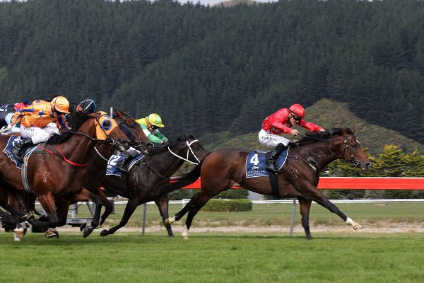 Changing of the guard at Rogerson stable