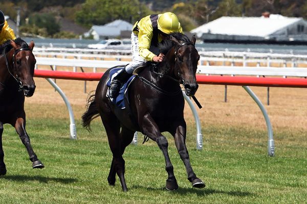 Wiles puts his faith in Warrior