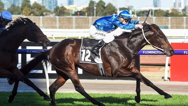 Oceanex starts build-up to Melbourne Cup