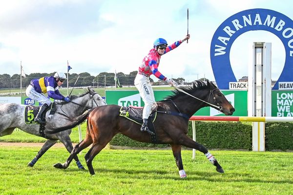 Former Kiwis make mark at ‘Bool