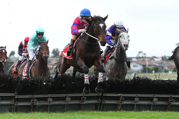 Gobstopper heads Australian interests for Campbell