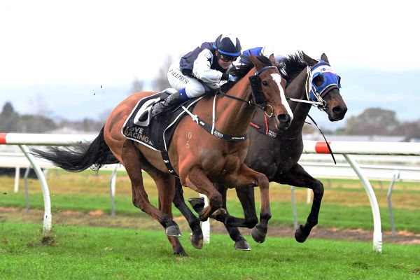 South Island mission on the cards for impressive Awapuni winner