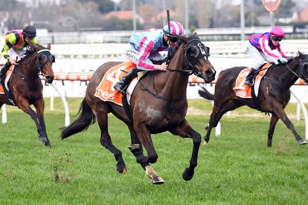 High Emocean a quality stayer in the making