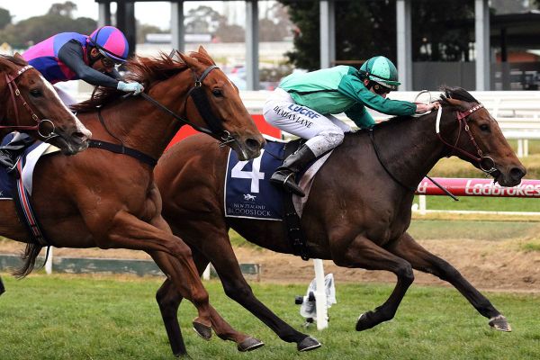 Retirement deferred for Group One winner