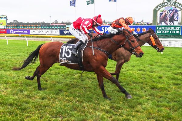 Local assignment for Gore warhorse