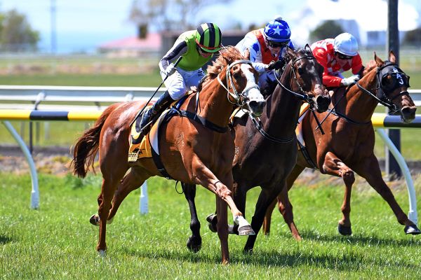 Wet track test for Jakkalbomb