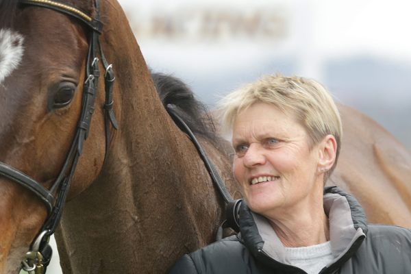 Unexpected return north brings flood of success