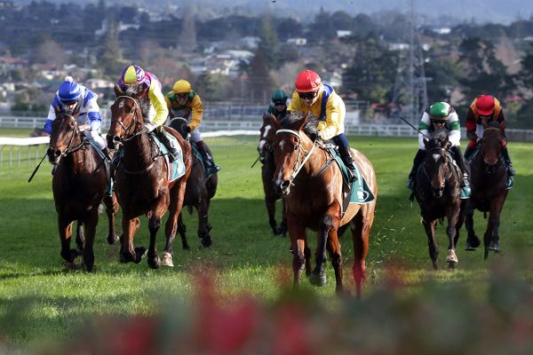 Emotional victory for winning syndicate at Avondale