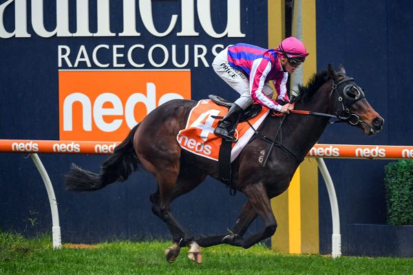 Tough Kiwi ready to rumble for Finnegan