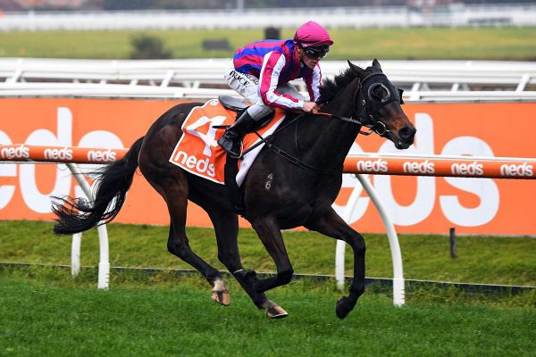 3YO target for Lord Bouzeron