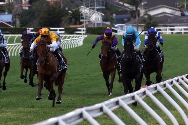 Well-travelled Crawford grateful to be home