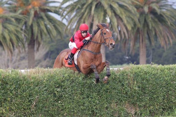 Jumping features instore for Nelson pair