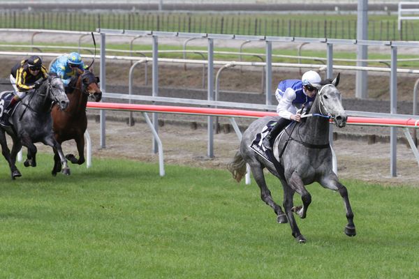 Polly Grey pleases with black-type placing