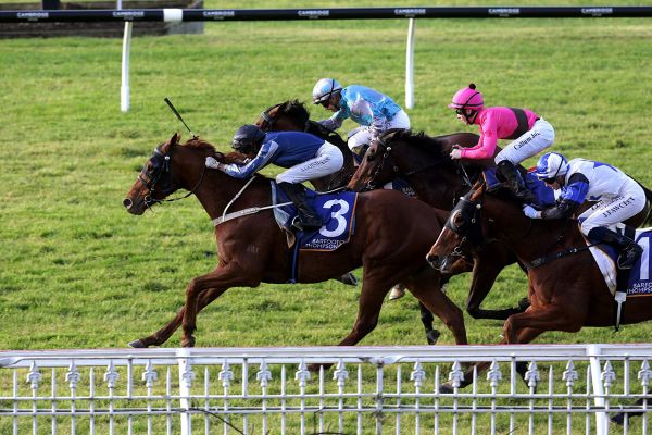 Redcayenne upsets at Ellerslie