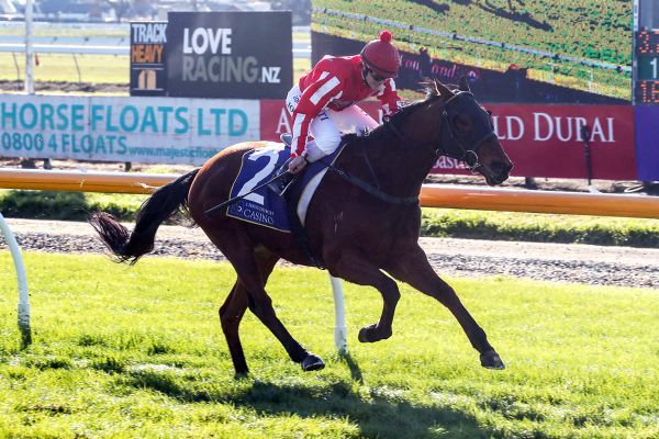 Pitman double closes gap on North Island rivals