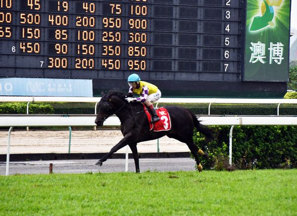 Sacred Capital too strong in Chairman Memorial Cup