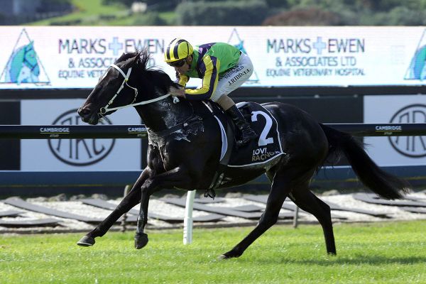 Melbourne campaign for Santa Catarina