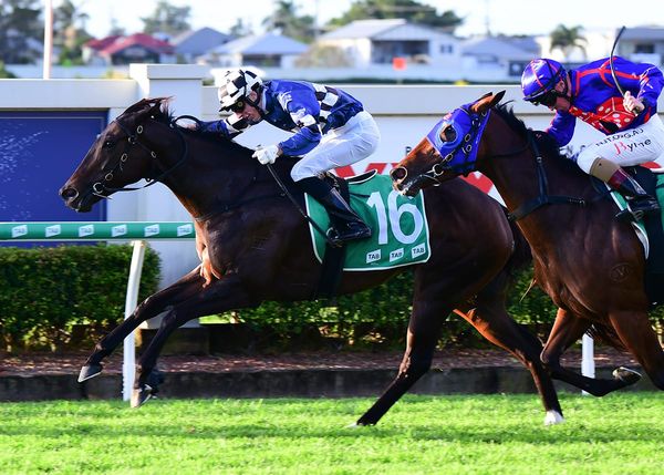 Shalwa looking to bow out in style