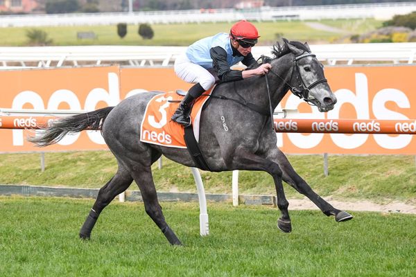 Group Three target for Showcasing mare