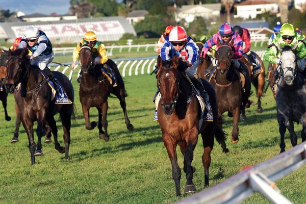 Shoshone shines in Ellerslie victory