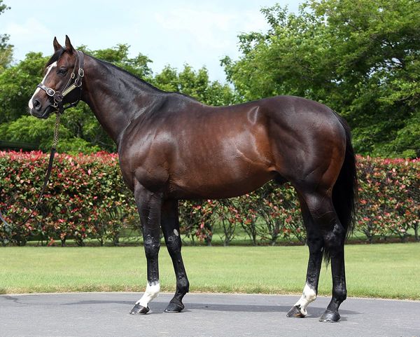 Mohaather makes amends in Sussex Stakes