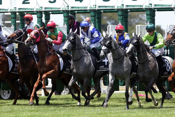 Live racing comes to loveracing.nz