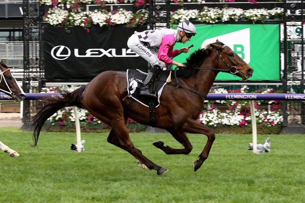 Feehan first-up for Surprise Baby