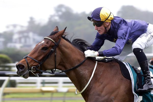 Sweet victory for impressive maiden winner