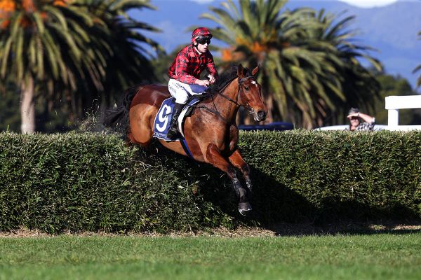 National double defence begins for star jumper