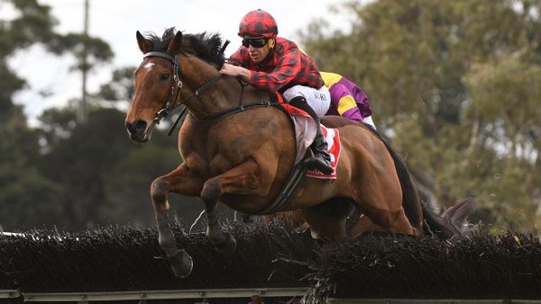 Big weight for Twinkletoe in GN Hurdle